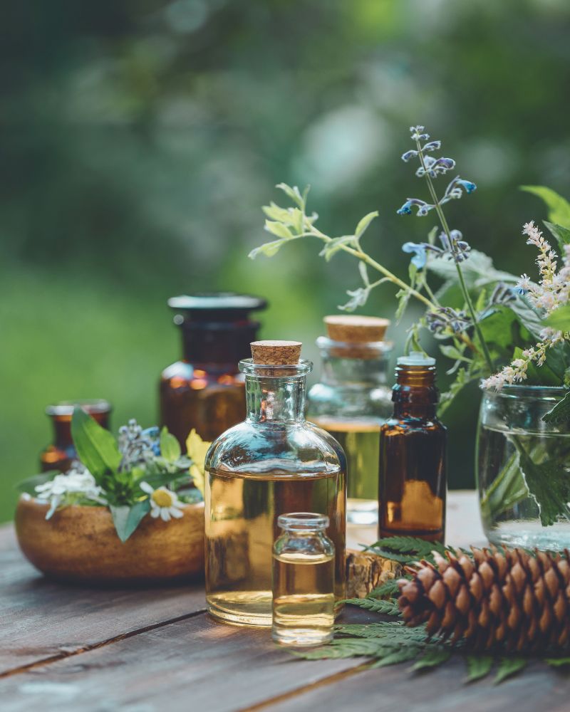 ZOOPHARMACOGNOSY